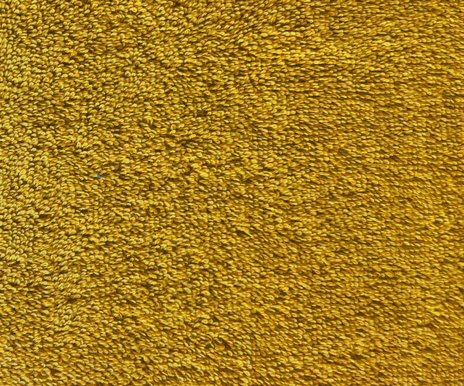 Aigredoux MUSTARD Marc Leopold