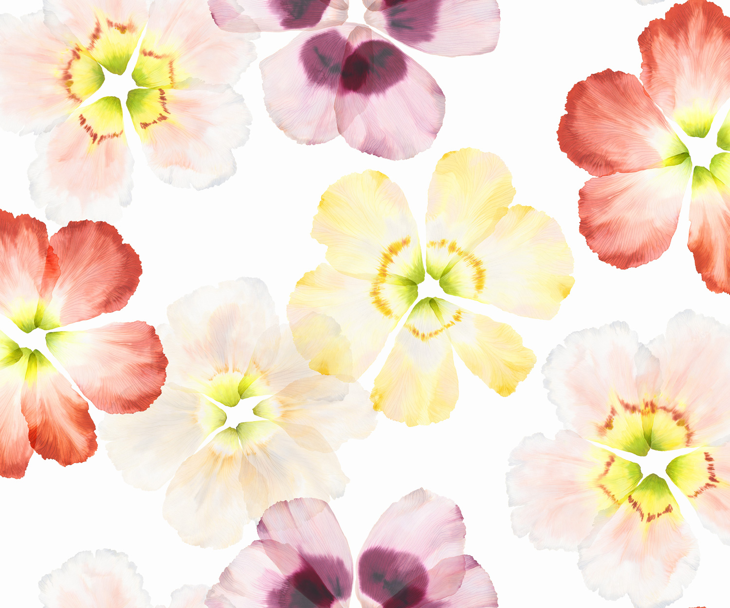 SB_BW-AURORA-blanc Schlossberg ropa de cama AURORA Satin