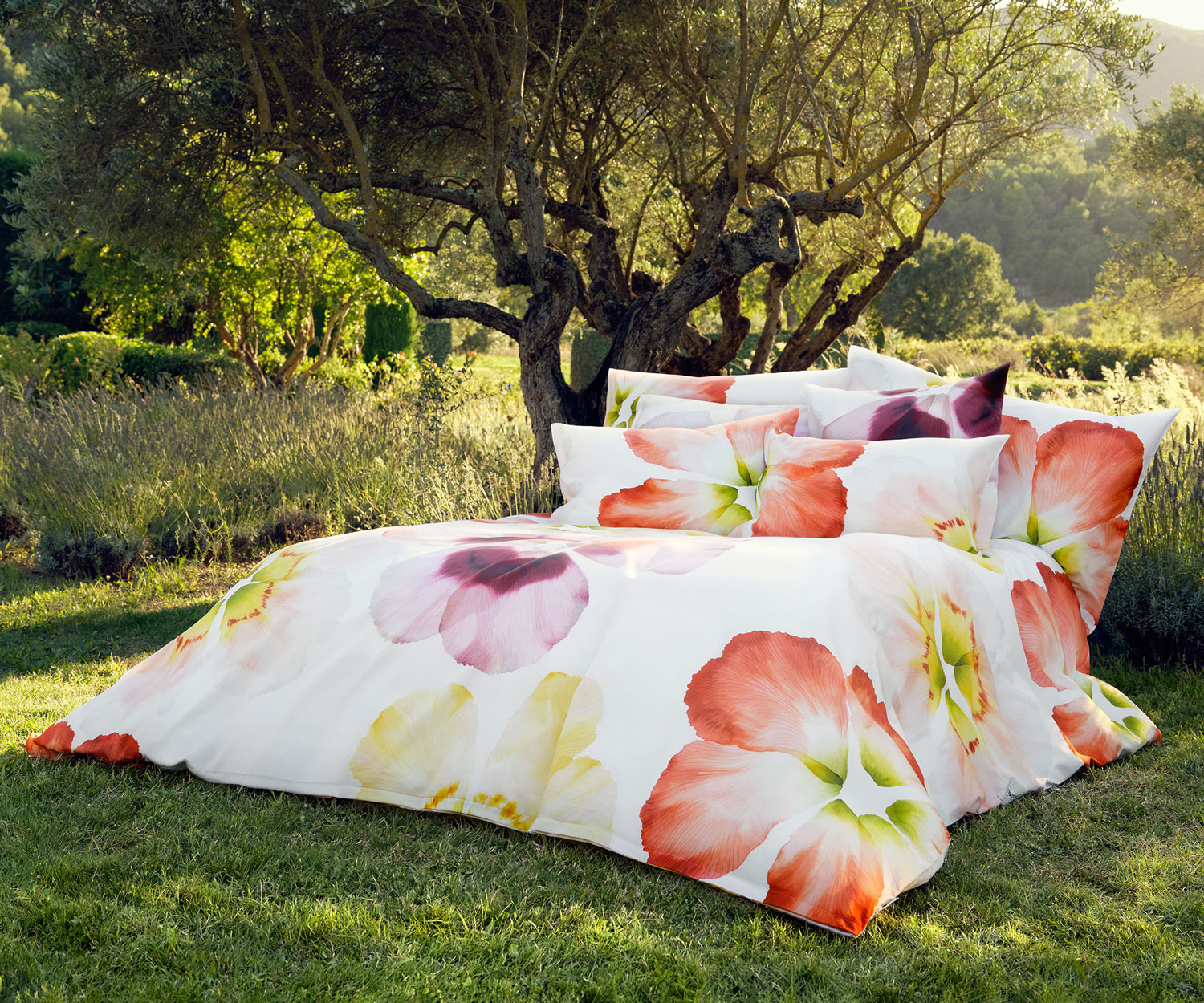 Schlossberg-Bettwaesche-AURORA Schlossberg ropa de cama AURORA Satin