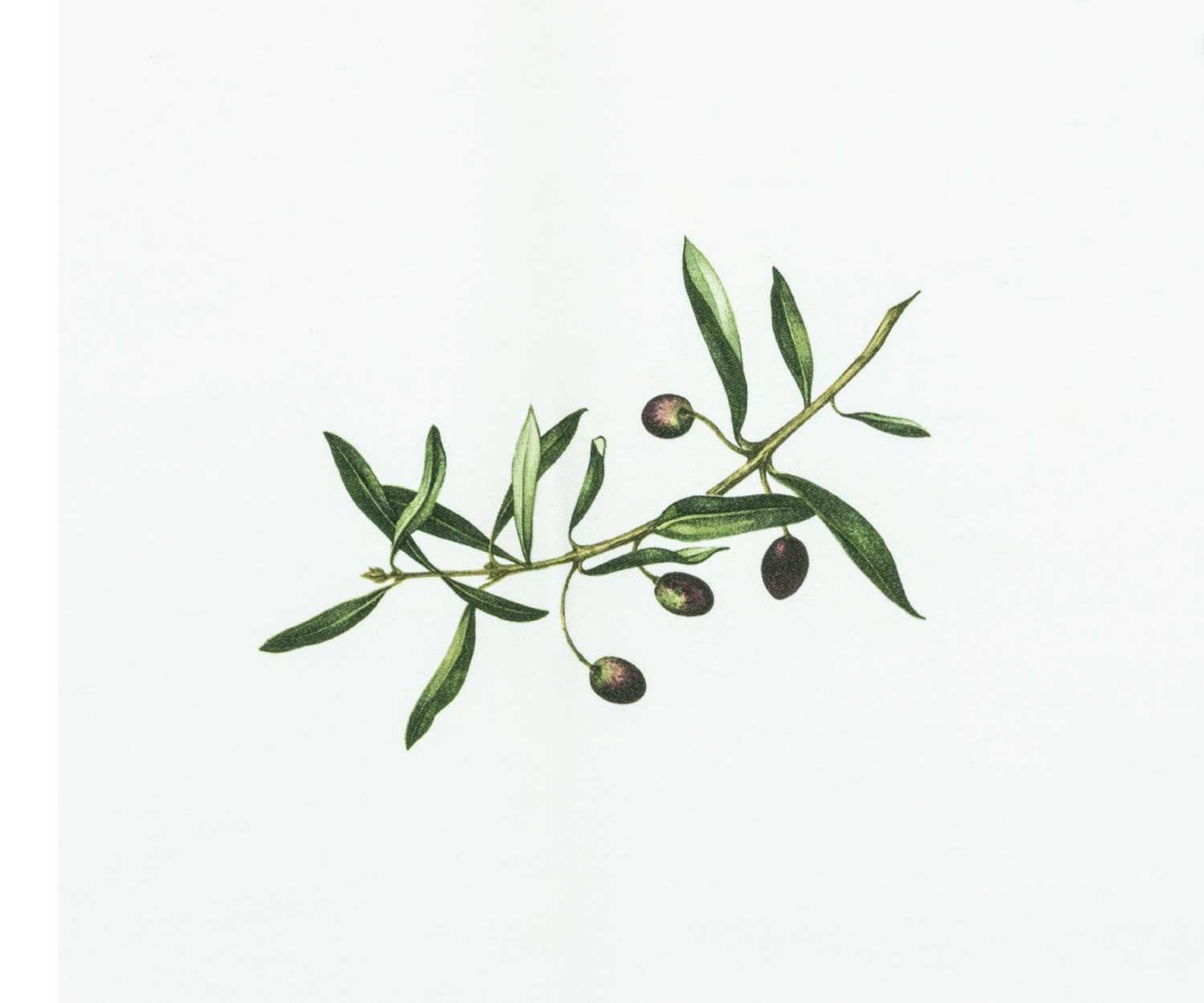 Garden_Party_Olive_einzel Dekostoff Gardenparty Olive 14565