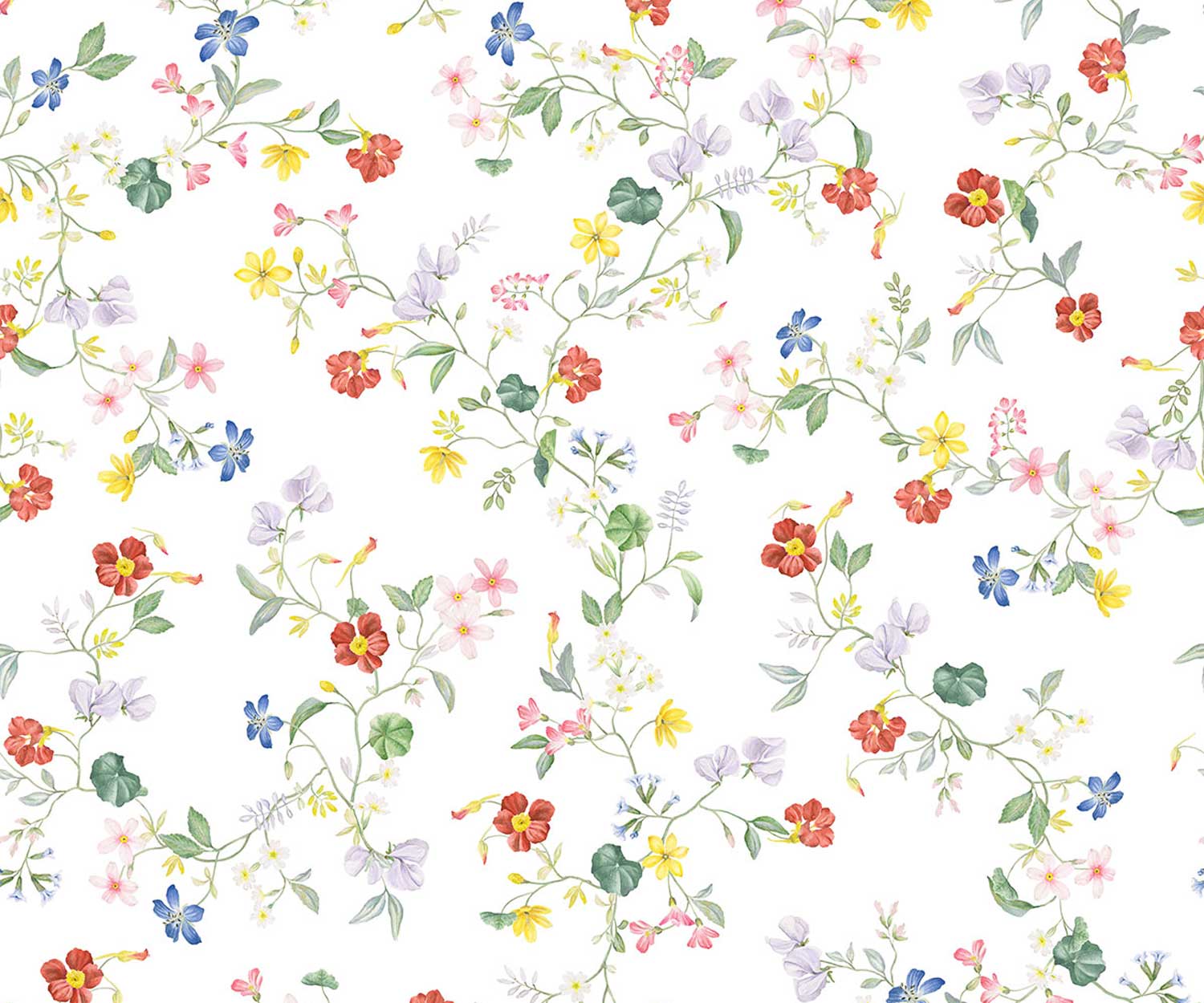 Schlossberg_Bettwaesche_Elin_Detail Schlossberg ELIN BLANC Bettwäsche - Satin Noblesse