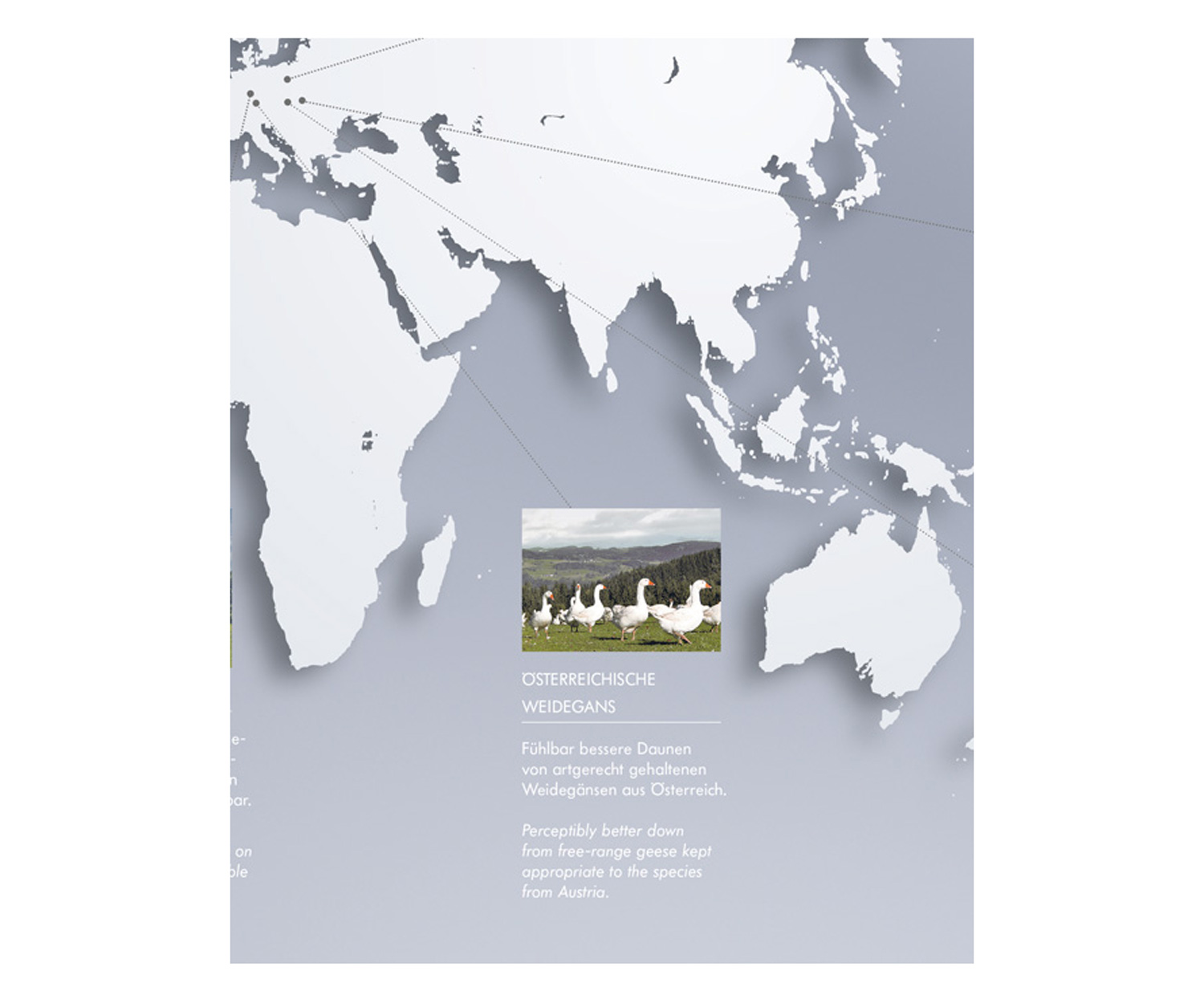 Kauffmann-Weltkarte-Weidegansn8YbjDUg44P3q Relleno nórdico WEIDEGANS de Kauffmann