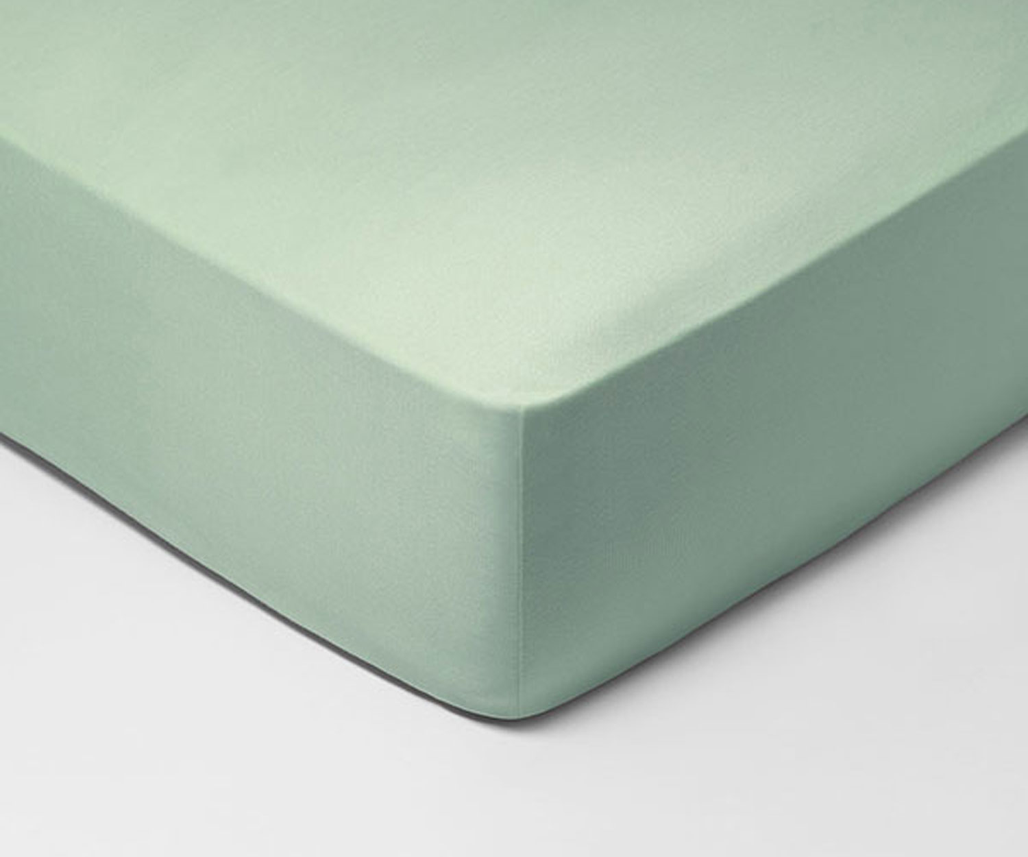 Palmier Schlossberg JERSEY ROYAL col. palmier