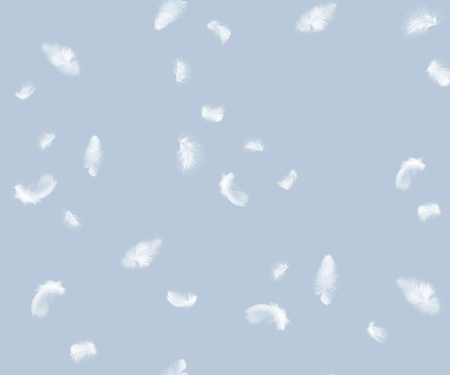 momm_bettwaesche_classic_entella3 MOMM ENTELLA Bettwäsche - Satin